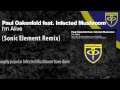 Paul Oakenfold feat. Infected Mushroom - I'm Alive (Sonic Element Remix)