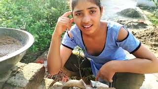 Is Tarike Se Agar Deewar Banaoge Kabhi Nahin Tutega