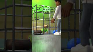 Which Brazilian Dog Are You Adopting?