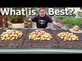 I Grew Potatoes 3 Ways to See What Method Is Best?