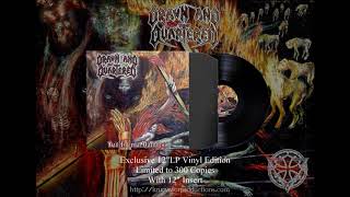 Watch Drawn  Quartered Hail Infernal Darkness video