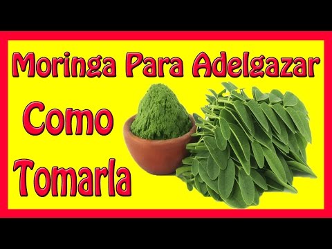 Quienes no deben de tomar moringa Quienes no deben de tomar moringa