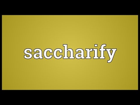 Header of saccharify