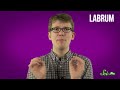 Why Do Bug Bites Itch? klip izle
