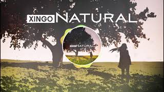 XINGO - When The Rain Passes / fantastic mix of natural sounds, chill and electronic music