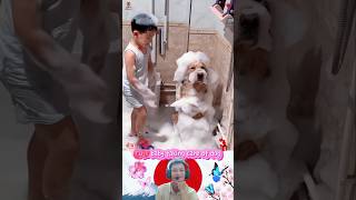 Cute Baby Taking Care Of Dog