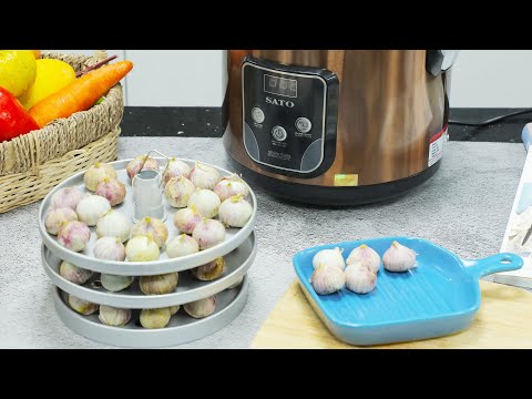 Cách Làm Tỏi Đen Ngon Nhất Bằng Tỏi Cô Đơn Tại Nhà Đơn Giản | #Shorts