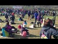 オーシャンゼリゼ/奇妙礼太郎 　ARABAKI ROCK FEST 13