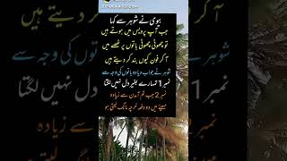 Bive Nay Shohar Nay Kya Kha