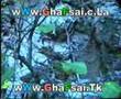 شلال غفساي الجزء الثالث www.GhaFsai.c.la