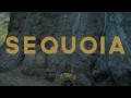 Watch Sequoia Full Movies Streaming