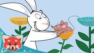我的兔子朋友 插曲 #5 | 完整劇集 | 红熊动画