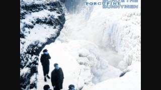 Watch Echo The Bunnymen Porcupine video
