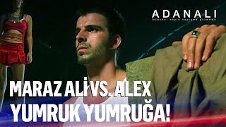 Maraz Ali vs. Alex - Yumruk yumruğa! | Adanalı Kolaj