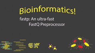 Bioinformatics - Fastp Fastq Preprocessing Tool Timestamps