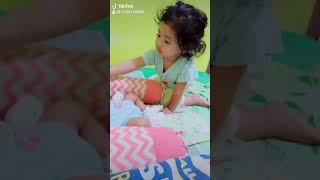Baby Koala Lagi Nyusuin Adek Nya