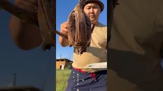 Duck Soup Утиный Суп Pandasakha Yakutia