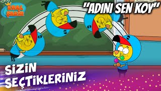Hokkabaz Şakirin Maceraları Kral Şakir Adını Sen Koy