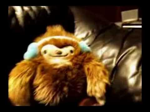 Quatchi Dancing to