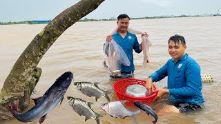 Nước Lên Ngập Căn Chồi- Mấy Anh Em Đi Giăng Lưới,Quăng Chài Bắt Được Rất Nhiều Loại Cá Ngon