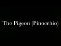 The Pigeon (Pinocchio) Cast Video