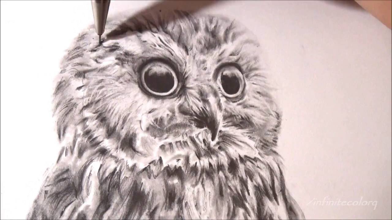 REALISTIC OWL - Speed Drawing [ Time Lapse ] - YouTube