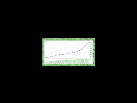 Forex joe ross