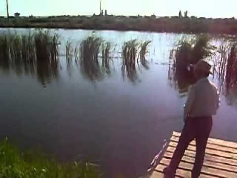 берфорум рыбалка видео берфорум рыбалка видео