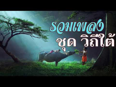 สัญญาที่ตาปี...เพลงเพื่อชีวิต#รวมเพลง ฌามา ชุดวิถีใต้
