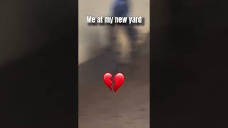 Jag Ska Börja På Min Gamla Ridskola Mälarhöjdens Ridsällskap Igen
