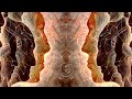 Liquid Bloom & PERE - Afar (Remixed) [Folktronica | Psychill | Global Bass]