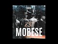 Z3T - MOBESE