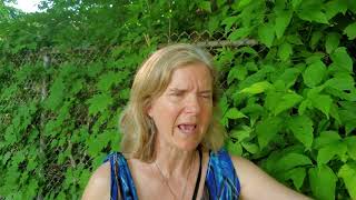 lady with dementia