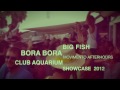 Club Aquarium afterhours London showcase @ BoraBor