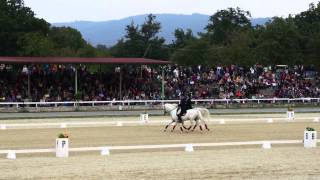 Sade Saddle Riding, Day Of The Lipica Stud Farm, Slovenia 2012