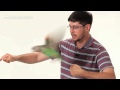 parrot