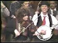 Bluegrass