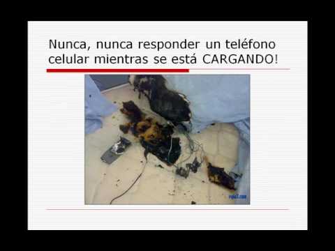 El alcoholismo y las transgesiones