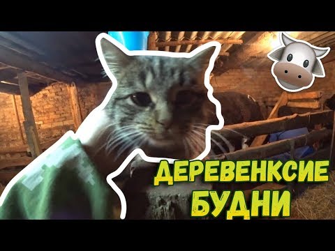 👉Немного новостей // Будни деревенские // Ужин 👉Немного новостей // Будни деревенские // Ужин