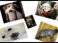 Proyecto Final *WAZ* (Alpirez, Montot... Proyecto Final *WAZ* (Alpirez, Montot...