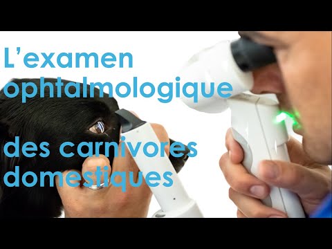 L&#039;examen ophtalmologique vétérinaire des animaux domestiques Bertrand Michaud VisionAnimale 2022