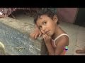 Alerta por el zancudo transmisor del dengue en El Salvador