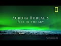 Spectacular Norway Northern Lights