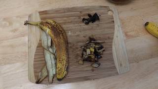 How to use Banana Peels as a Fertilizer If you love to Garden after watching this.