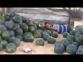 سكس جديد 2014 شاهد قبل الحزف