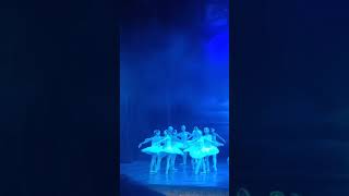Ballet Swan Lake.