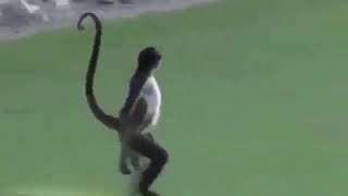 Coroa Safada Ah Cima De 60 So Quem Pegar E Rada Kkkkkkk