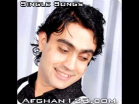 Nasim Hashemi Shah Laila