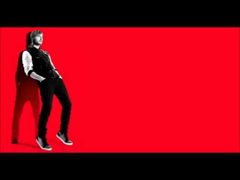 David Guetta - Play Hard ft. Akon & Ne-Yo Lyrics (