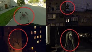 4 Creaturi Ciudate Prinse Pe Camera Video